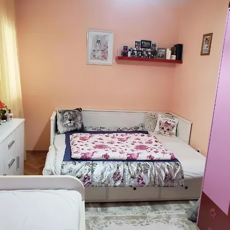 Luxury Music Apartment Sarajevo